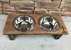 dog bowls